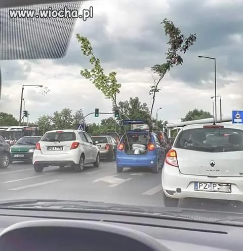 Tymczasem w Poznaniu 