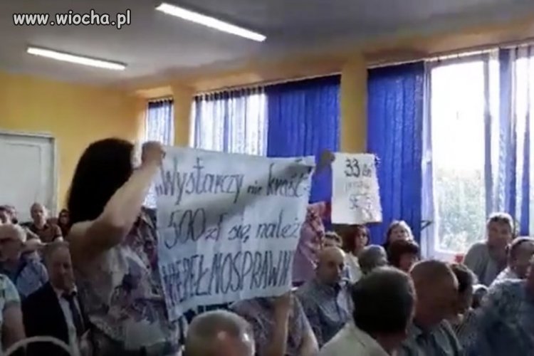 Podkarpacie wita płaszczaka