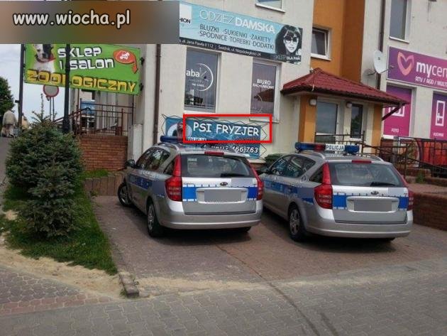 U fryzjera