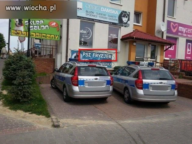 U fryzjera