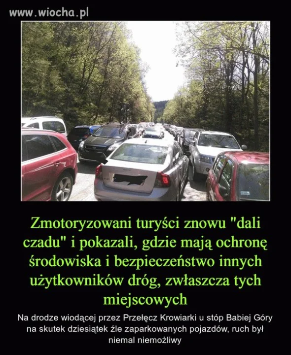 Gdy Janusze i Grażyny jadą na Majówkę