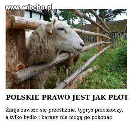 Ciężko się z tym nie zgodzić.