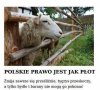 Ciężko się z tym nie zgodzić.