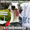 Kiedy wszyscy piją zimne piwko