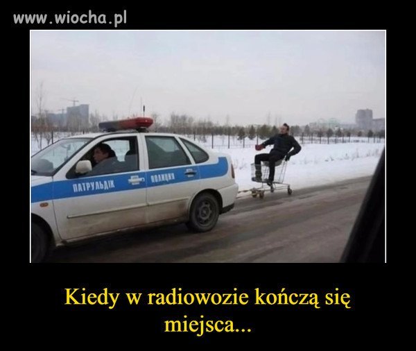 Zaprzęg