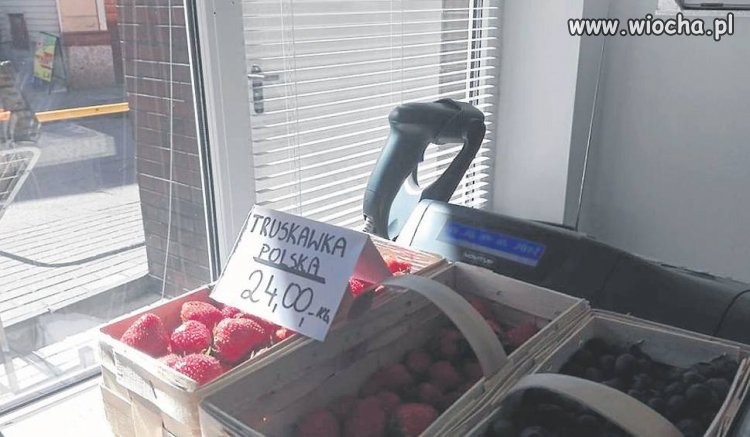 Cena taka bo nie ma komu zbierać. 