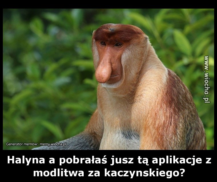 Halyna a pobrałaś jusz tą aplikacje z modlitwa za