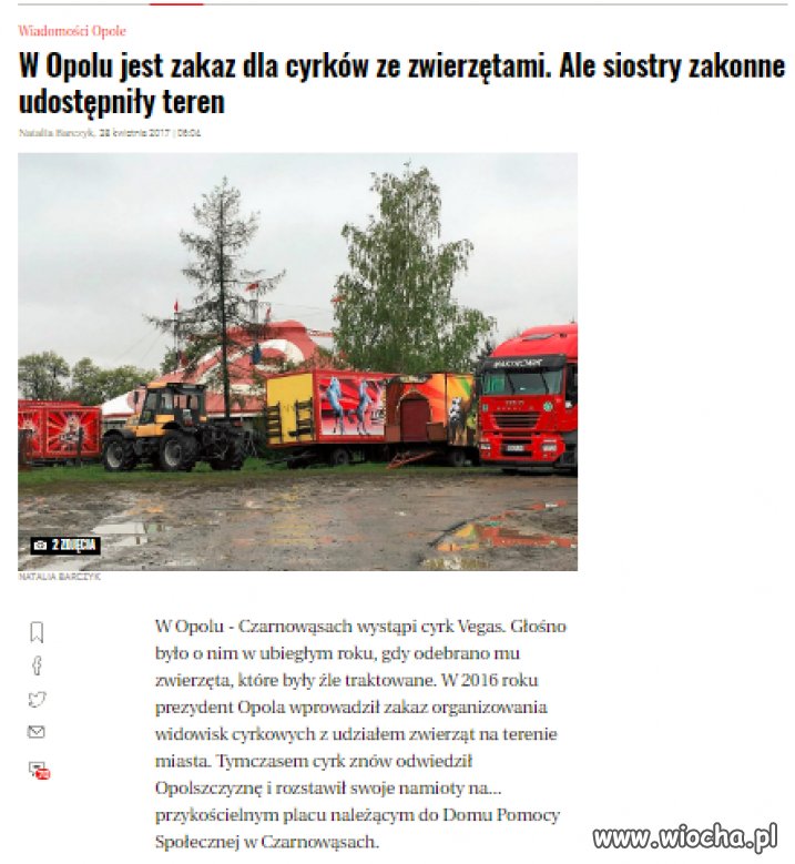 Ludzie zazwyczaj lubią zwierzęta...