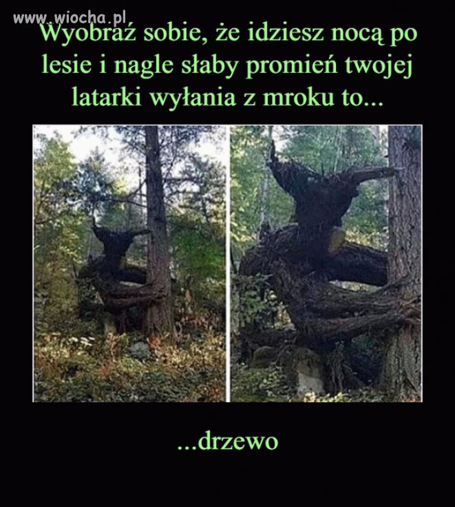 Można narobić w gacie