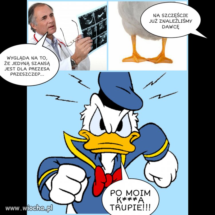 Diagnoza