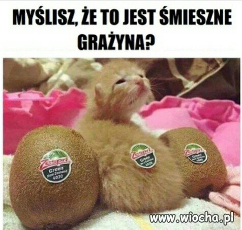 Typowa Grażyna