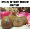 Typowa Grażyna