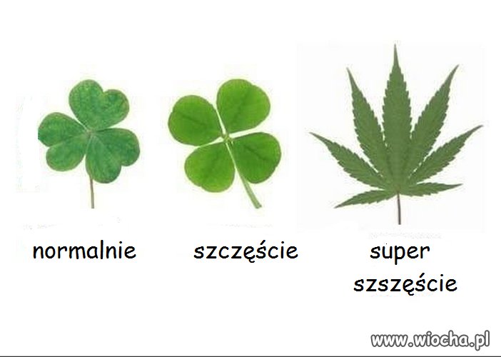 Nowe emotikony