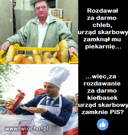 Bo są równi i równiejsi