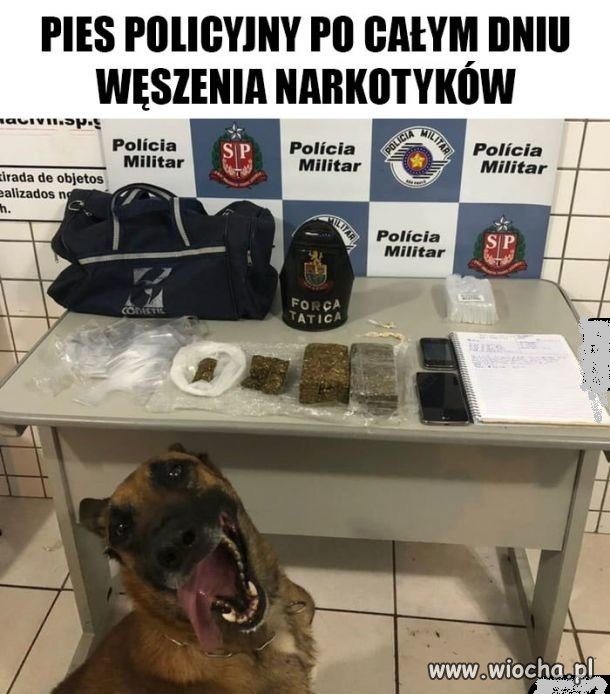 Fajna robota.