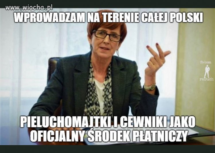 Propozycje rządu 