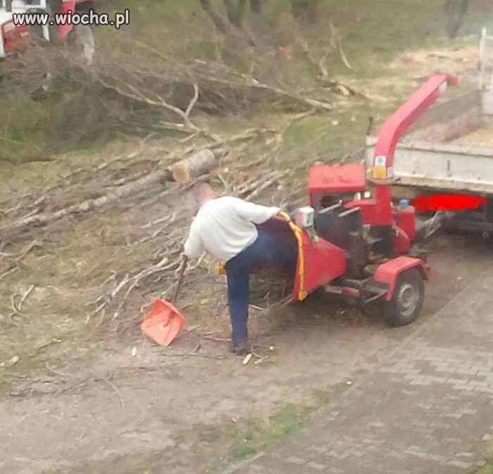 Jak się popieści