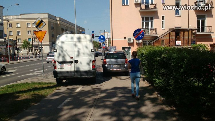 "Miszczowie" parkowania