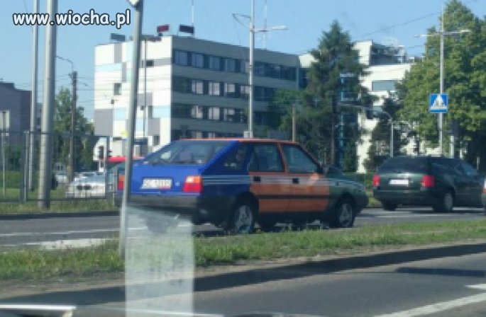 Szerszeń istnieje;/ 