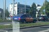 Szerszeń istnieje;/ 