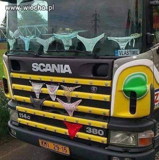 Pies na baby, znaczy tirówki
