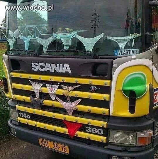 Pies na baby, znaczy tirówki