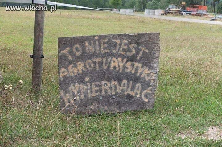 Gościnność 