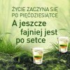 Prawda
