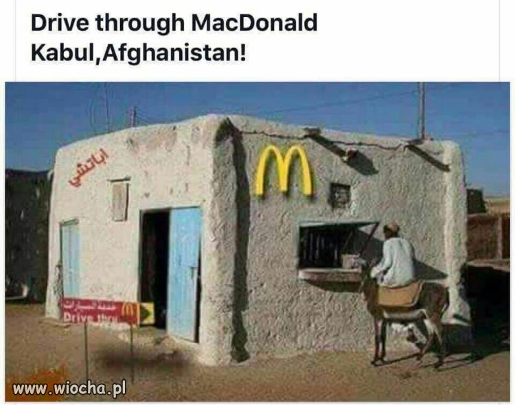 Ciapaty MacDonald 