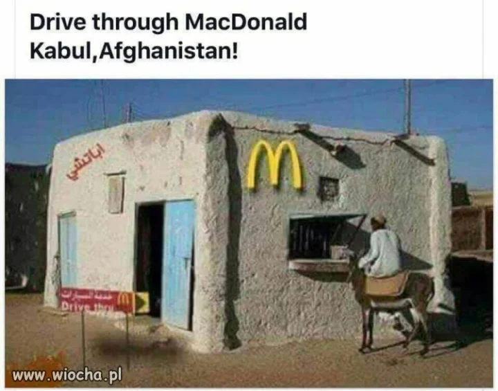 Ciapaty MacDonald 