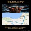 Według Bibli 40 lat szli