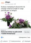 Reklama dźwignią handlu...