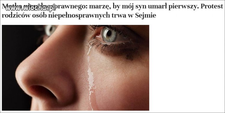 Festyny ,grile ,koncerty...