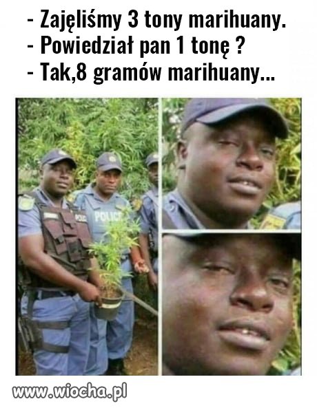 Zajęcie ...