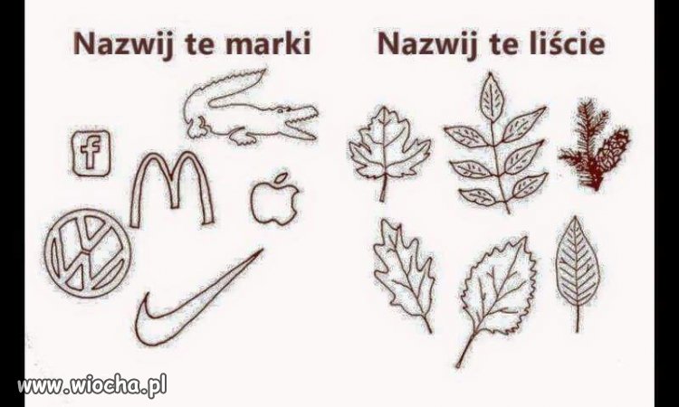 A dla Ciebie co jest ważne? 