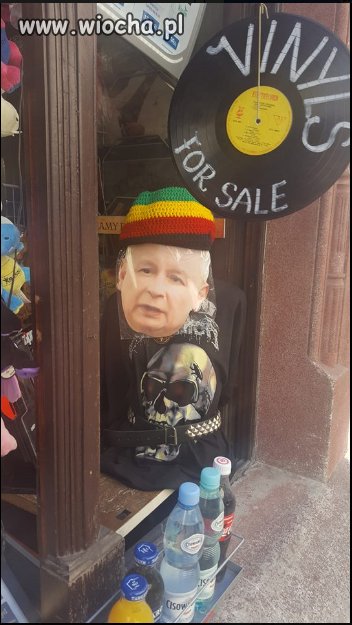 Kraków jaja robi