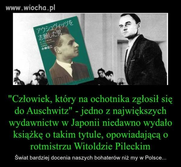 Opis poniżej