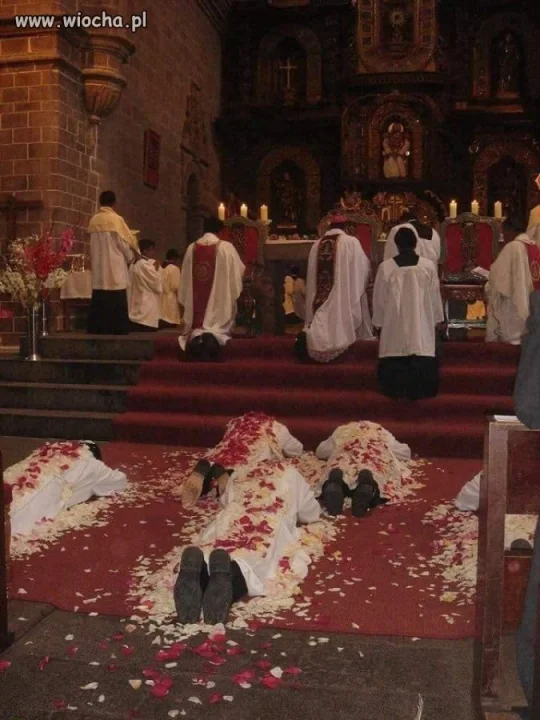 Co tu