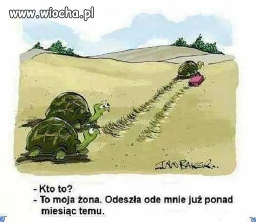 Kto to ?