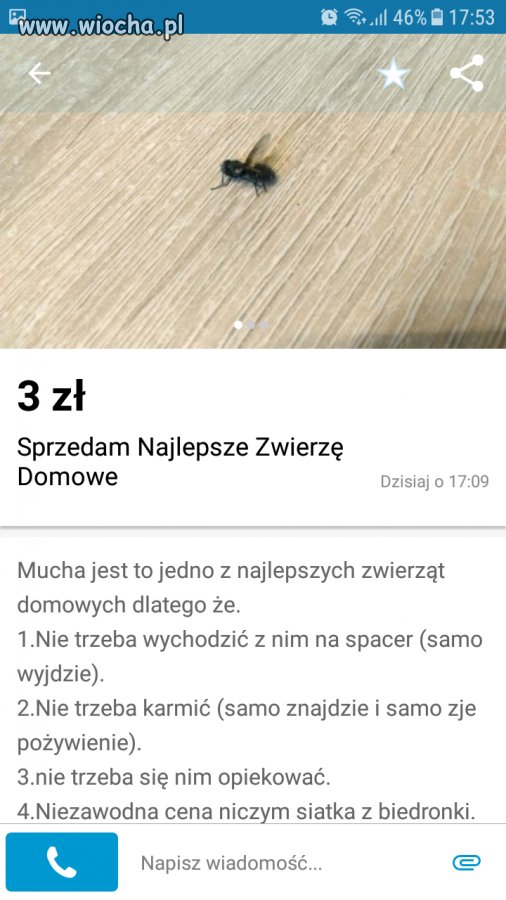 Bez komentarza