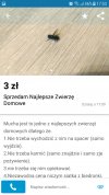 Bez komentarza