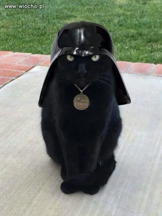 Cat-Vader