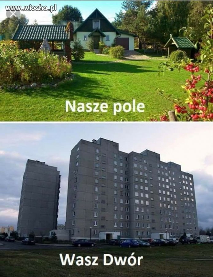 Ja tam wole na pole