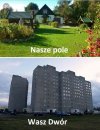 Ja tam wole na pole