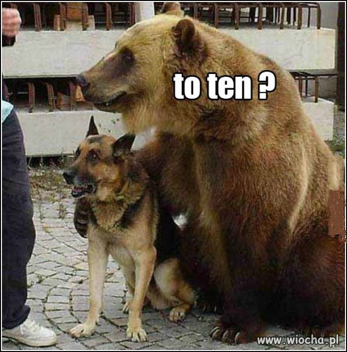 I co teraz