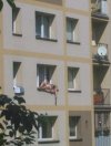 Życie na krawędzi
