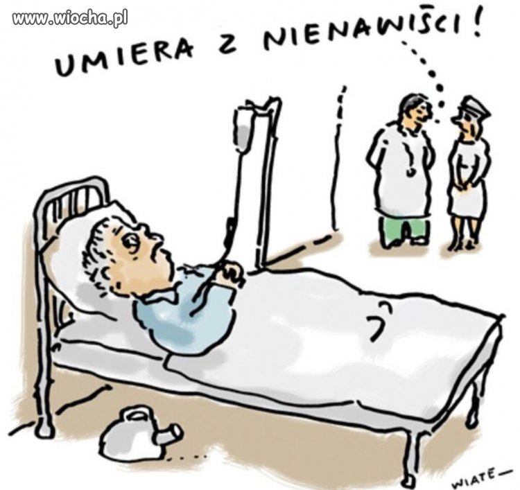A co u prezesa ?