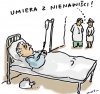 A co u prezesa ?