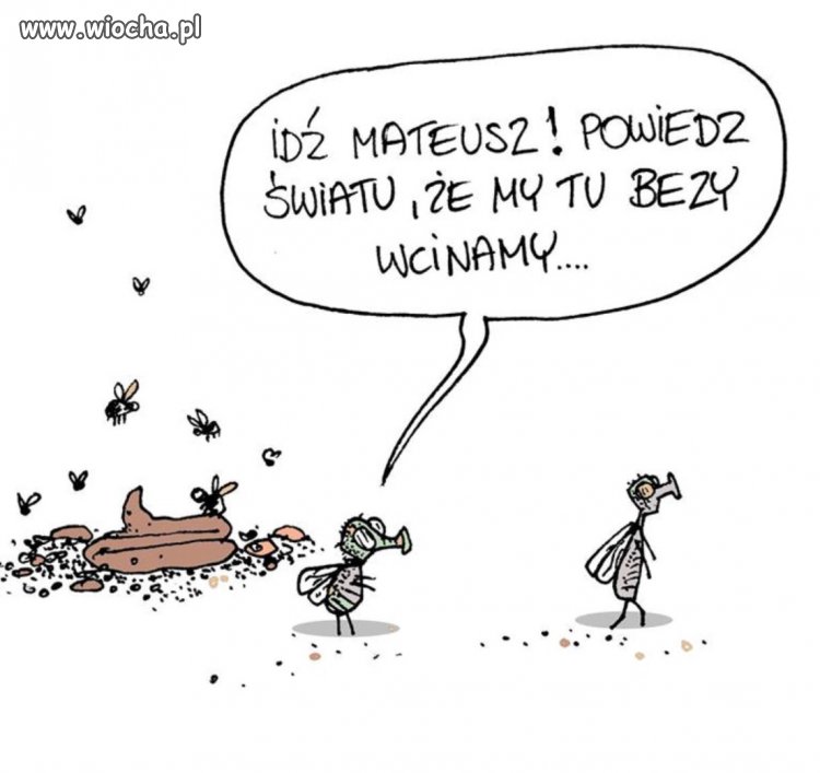 Idź Mateusz w świat 