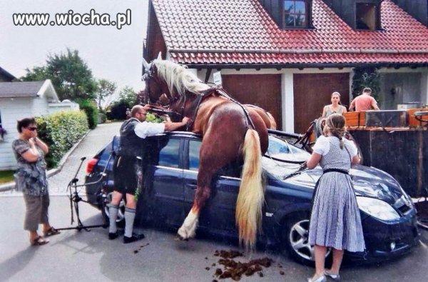 Zawsze to jeden koń więcej 